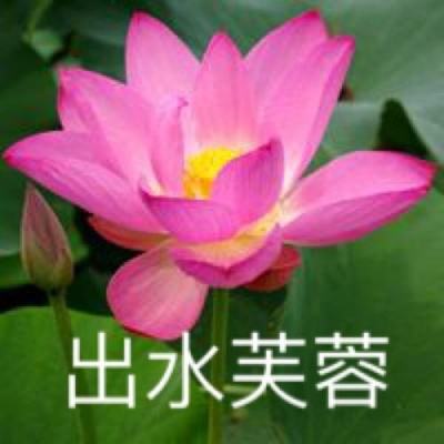 魔剑奇兵当乐版下载